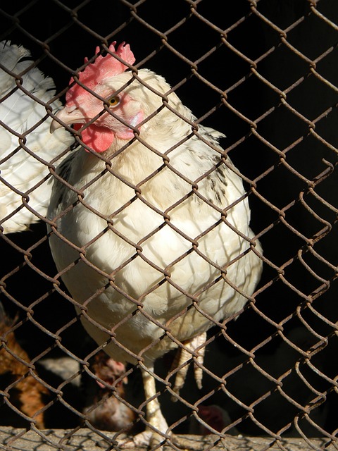 队如同一台 队如同一台