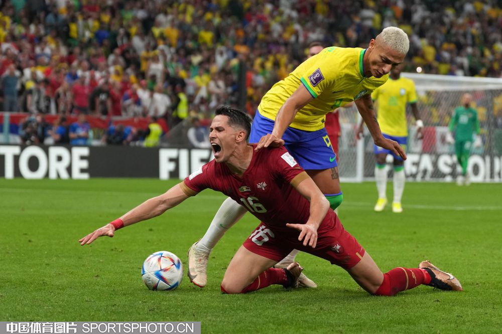 他们可能会 他们可能会