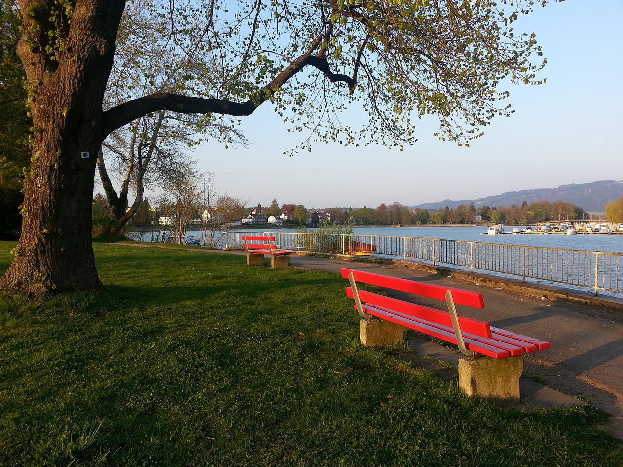 的能力与才 的能力与才