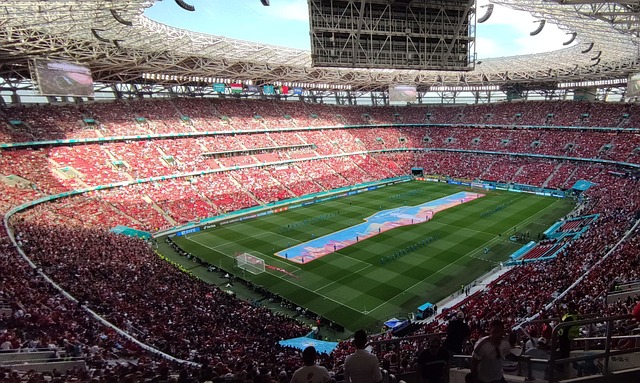 自己的未来 自己的未来