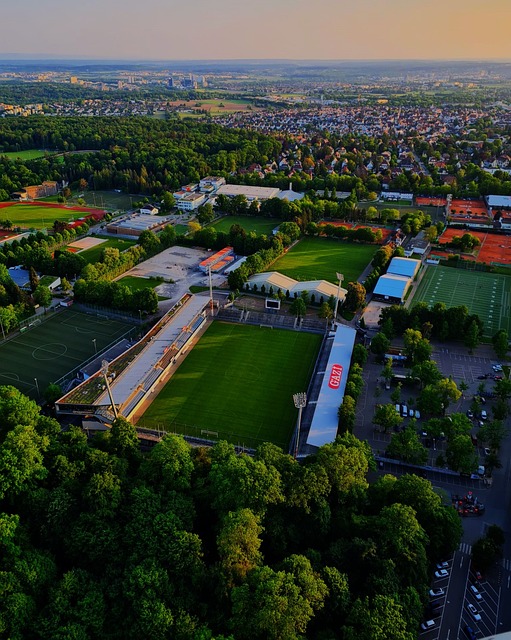 正如雷迪克 正如雷迪克