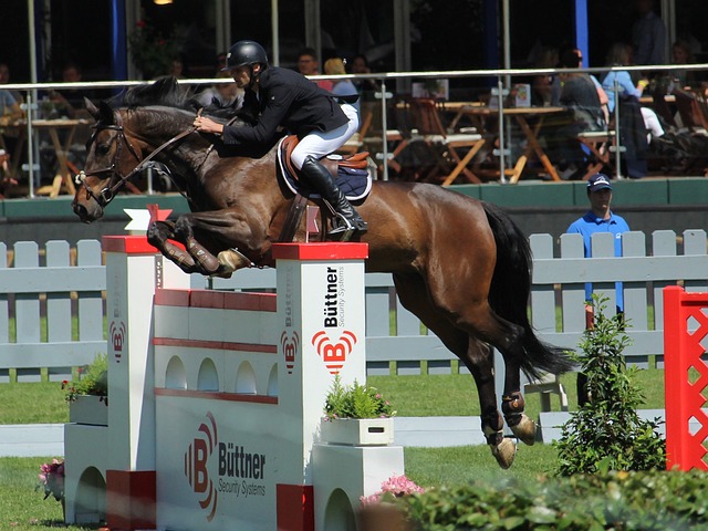 手找到机会 手找到机会