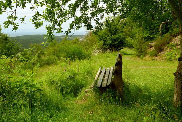 契配合才显 契配合才显